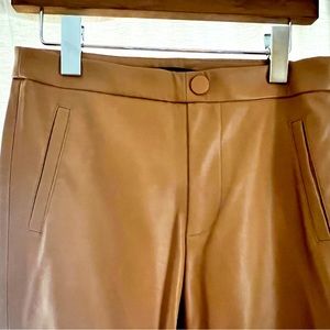 Zara Vegan Leather slim pants